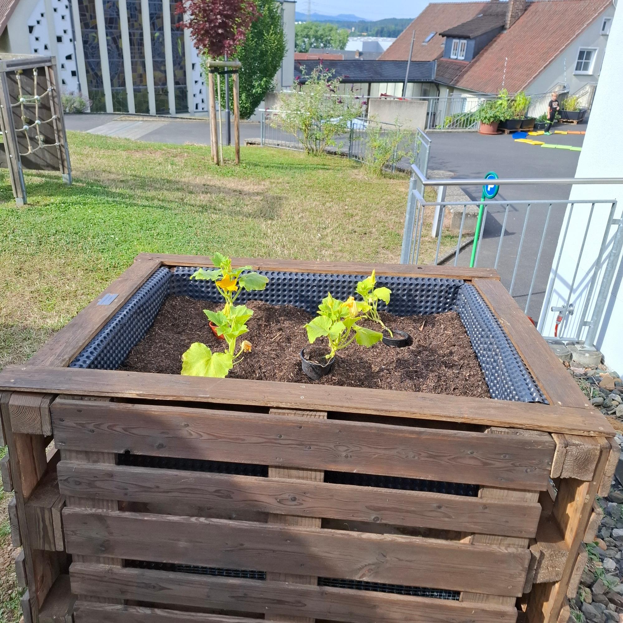 Hochbeetspende