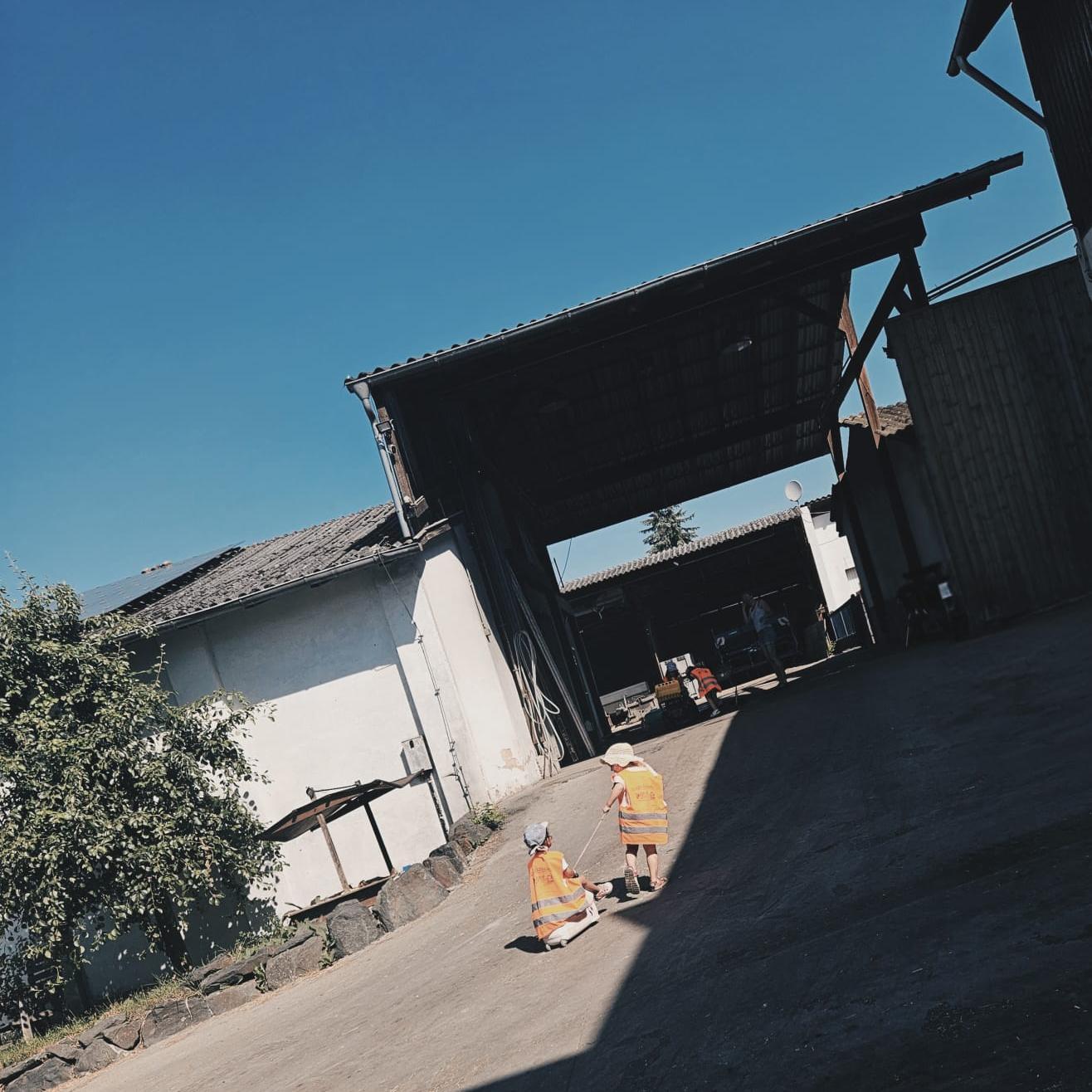 Bauernhofbesuch